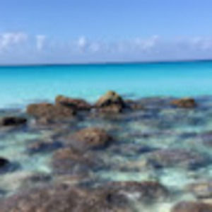 Meet your Posher, Kelvin